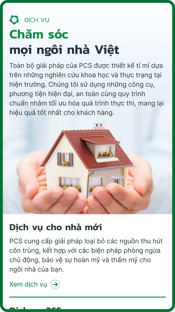 dich vu