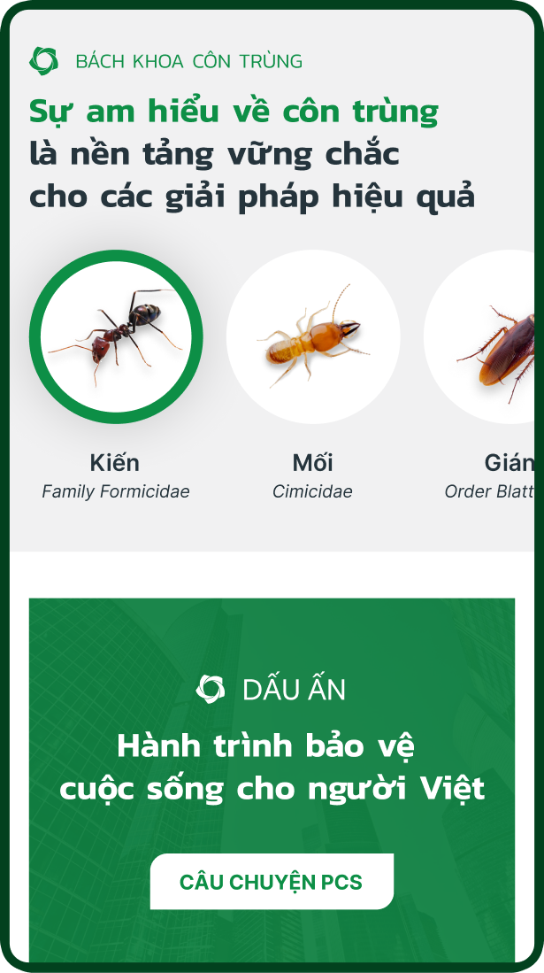bach khoa con trung mobile