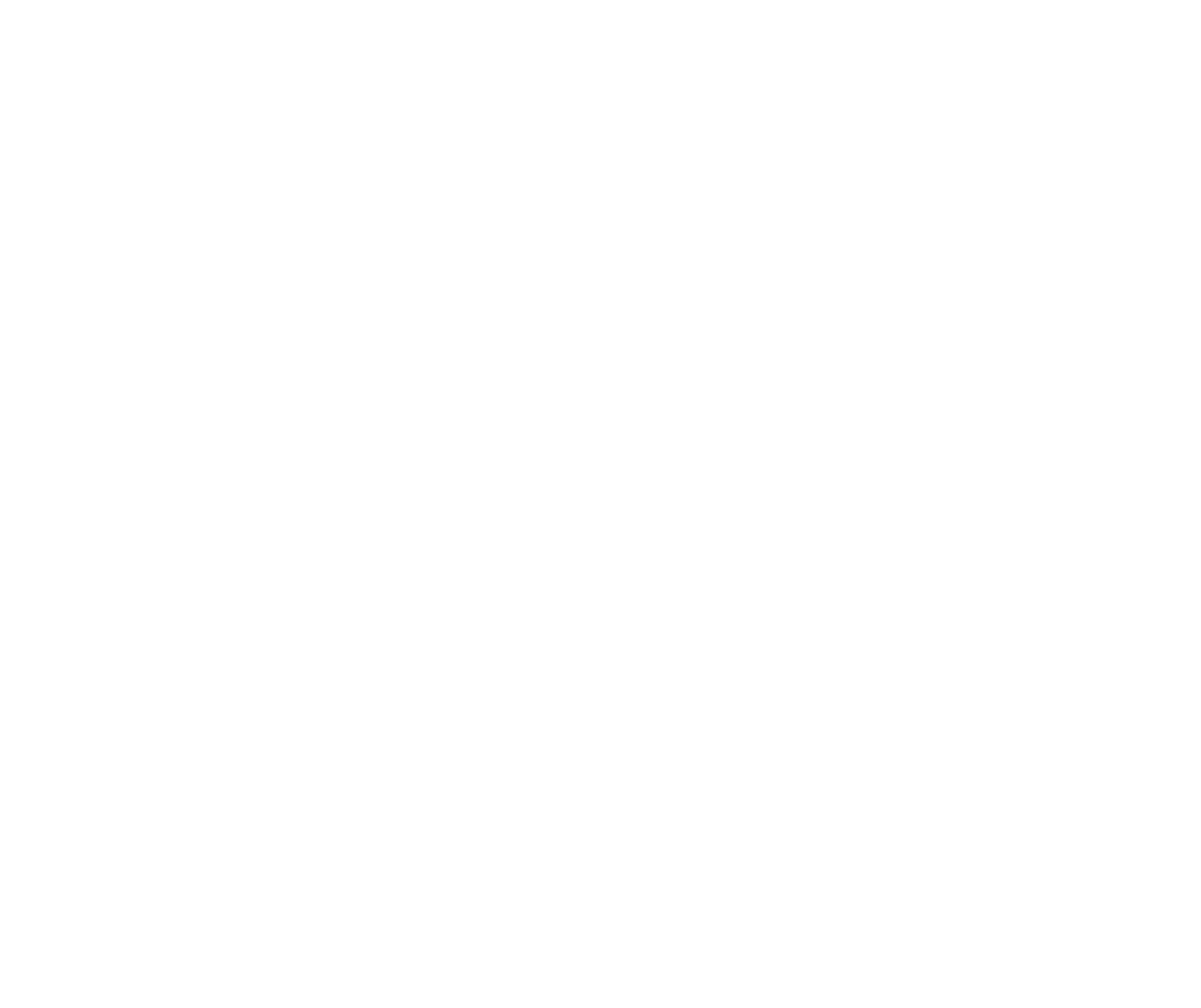 logo connect
