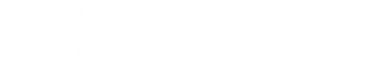 logo mfv