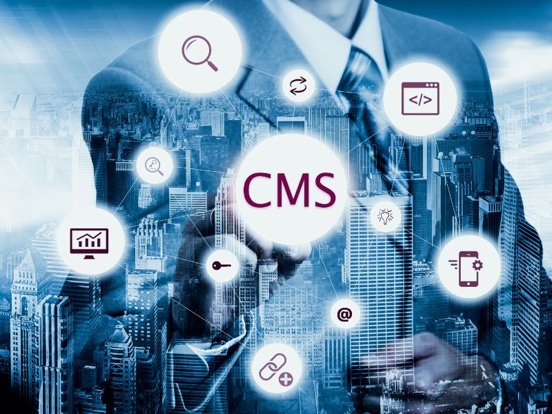 T&ugrave;y theo m&ocirc; h&igrave;nh doanh nghiệp m&agrave; chọn CMS ph&ugrave; hợp