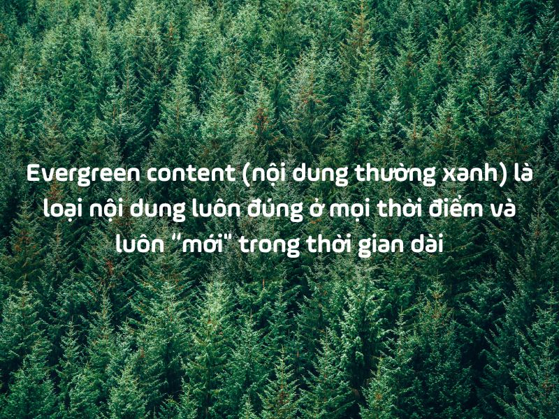 Evergreen content (nội dung thường xanh) là loại nội dung luôn đúng ở mọi thời điểm
