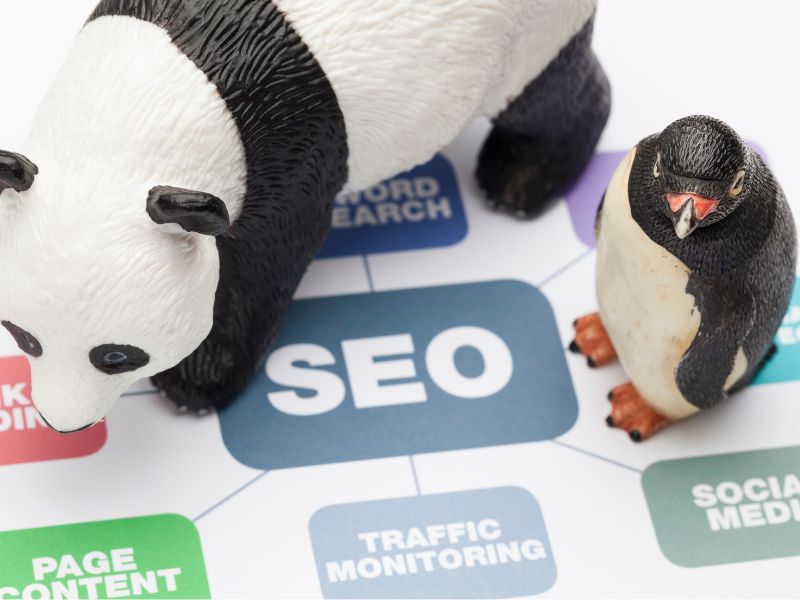 Cập nhật thuật to&aacute;n Google Panda thường xuy&ecirc;n c&oacute; thể gi&uacute;p bạn nhanh ch&oacute;ng tăng thứ hạng ranking website